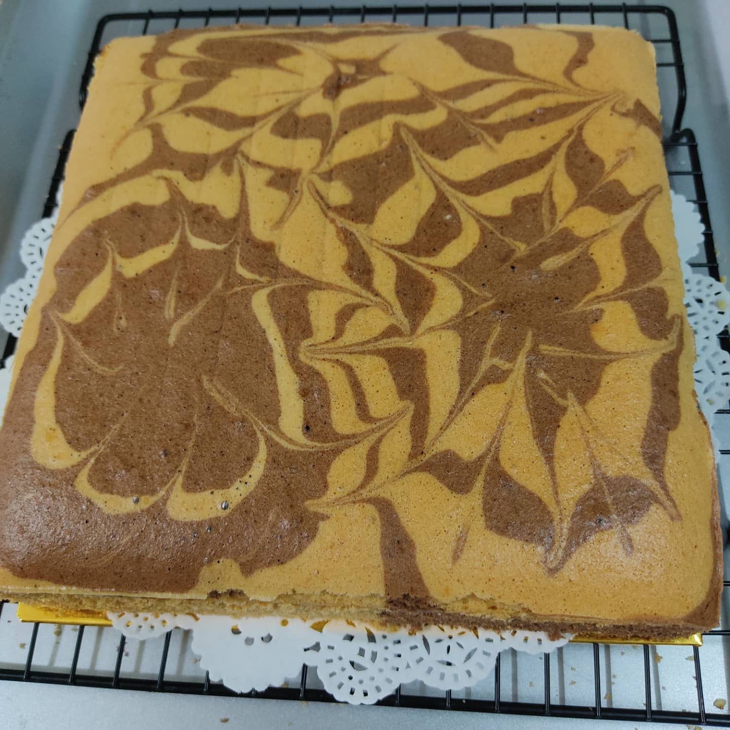 WhatsApp Image 2022-01-12 at 10.49.08 PM WhatsApp Image 2022-01-12 at 10.49.08 PM