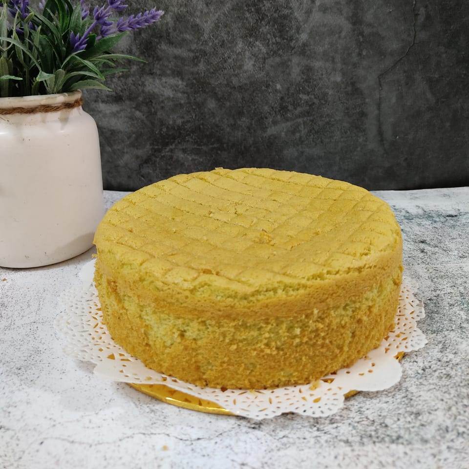 WhatsApp Image 2022-01-12 at 10.49.09 PM (2) WhatsApp Image 2022-01-12 at 10.49.09 PM (2)